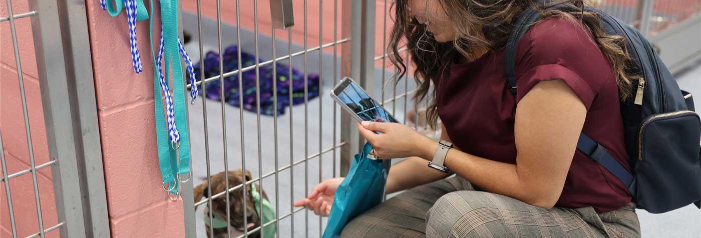 girl visiting puppy in port arthur, tx