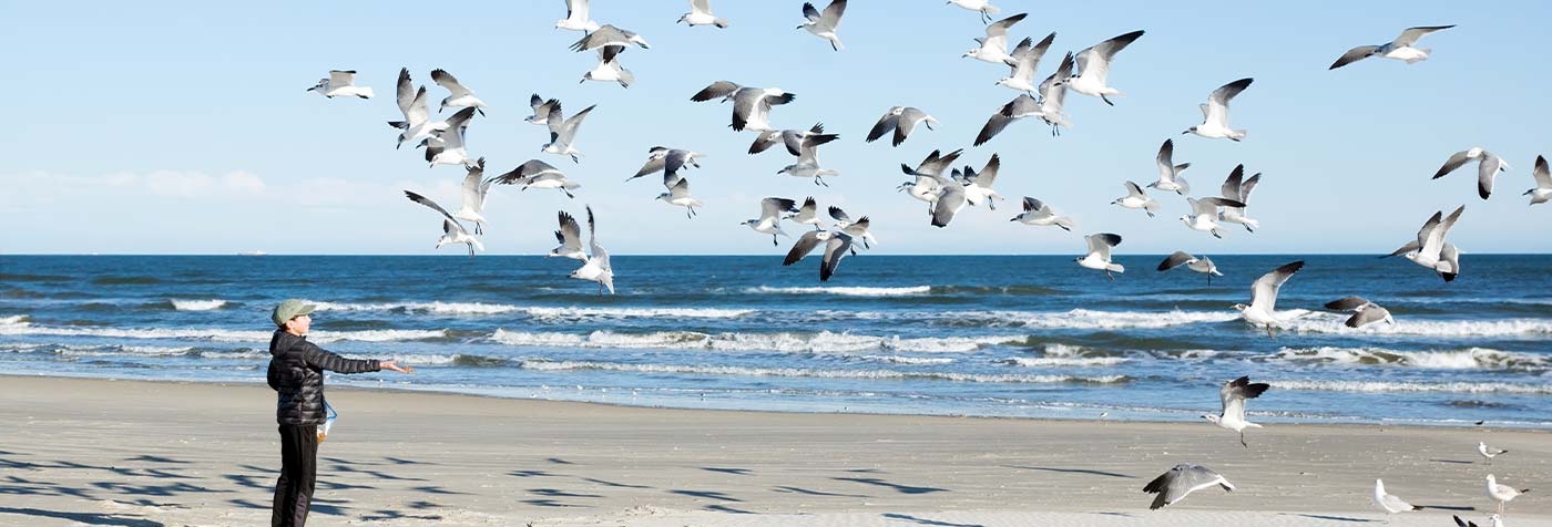 child feeding birds on the coast of texas